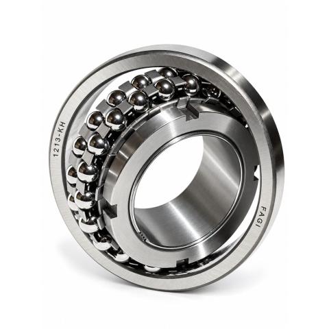FAGI 1213 KH Self Aligning Ball Bearing