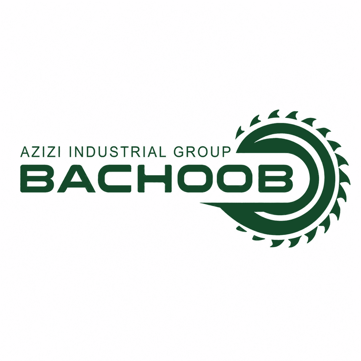 گروه صنعتی عزیزی